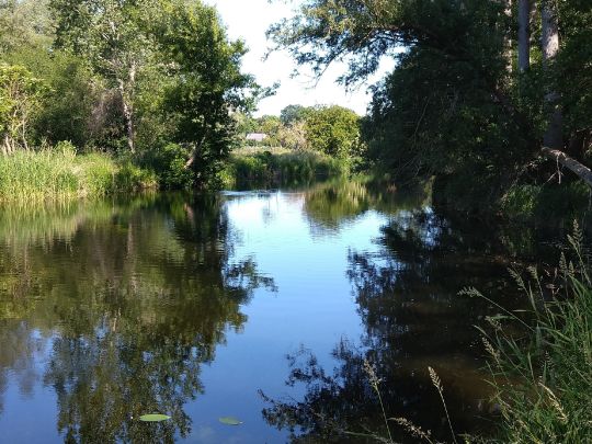 Havelkanal (Brieselang)-1