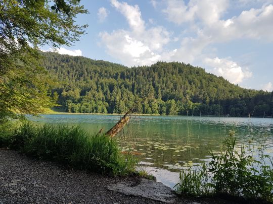 Alatsee (Füssen)-3