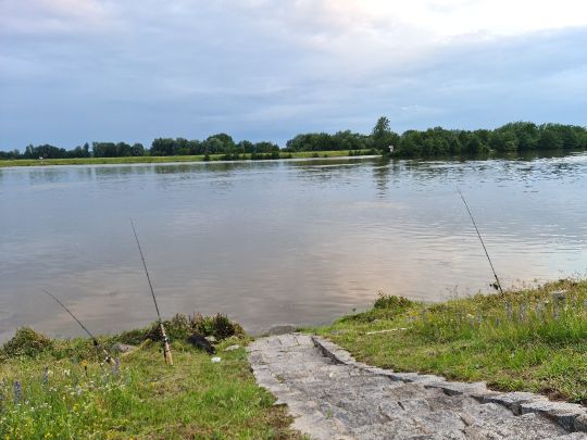 Donau (Bach an der Donau) angeln