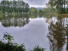 Friesenweiher (Tröstau)