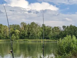 Donau (Großmehring)