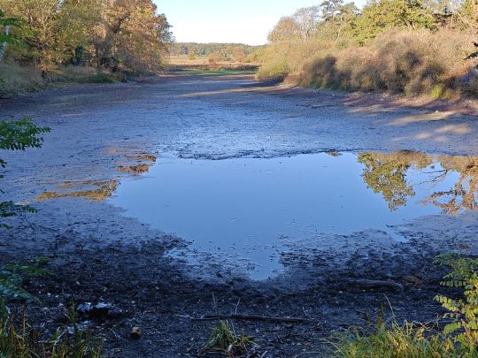 Haidteich (Bebertal)-1
