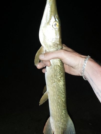 Straussee (Strausberg)-4