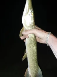 Straussee (Strausberg)-4