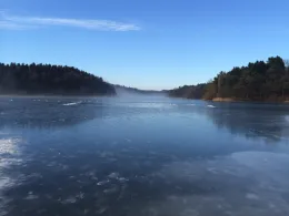 Mönchteich (Lütjensee)