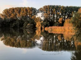 Gretlmühl-Surfsee-1