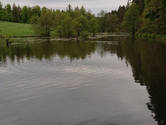 Grünfelder Teich-4