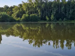 Gondelteich (Thale)-4