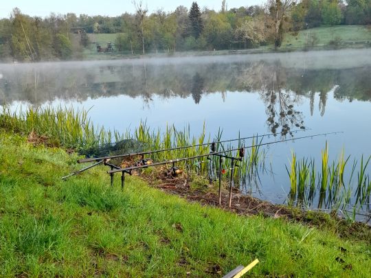 Gondelteich (Thale)-2