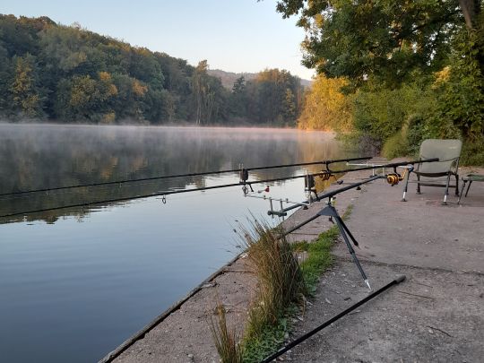 Gondelteich (Thale)