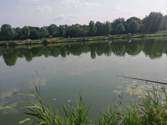 Visvijver De Groene Bleek-3