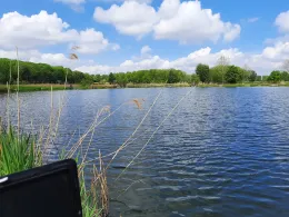 Visvijver De Groene Bleek-1