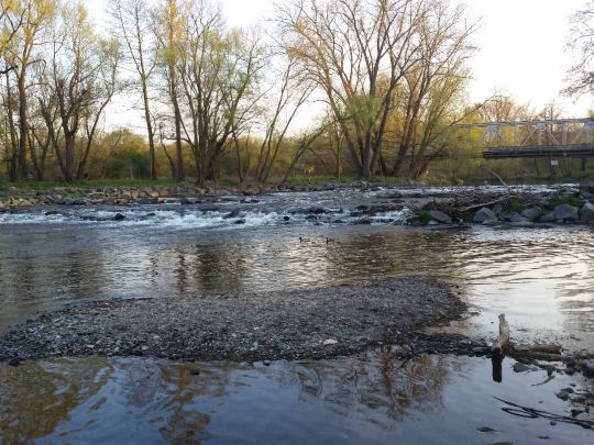 Saale (Saalfeld/Saale)-2