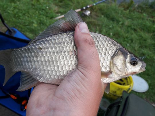 Saale (Saalfeld/Saale)-4