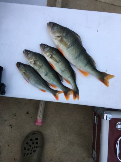 Schweriner See (Außensee)-4