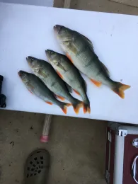 Schweriner See (Außensee)-4