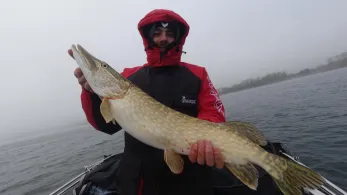 Schweriner See (Außensee)-1