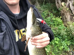 Saale (Friedeburg)-4