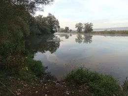 Saale (Friedeburg)-1