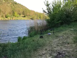 Saale (Friedeburg)-3