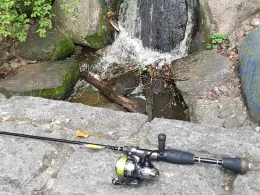 Steinbergsee (Berlin-Wittenau)-1