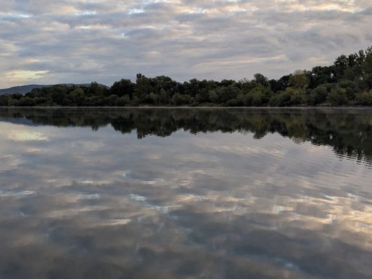 Wiesen-Kiesgrube Immelborn-2