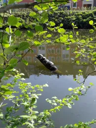 Schlossgraben Münster