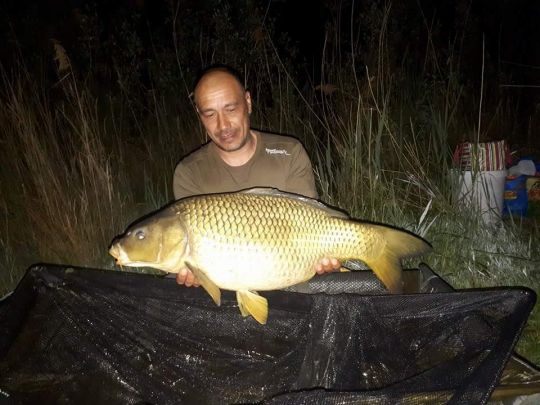 Handelshafen Mannheim-1