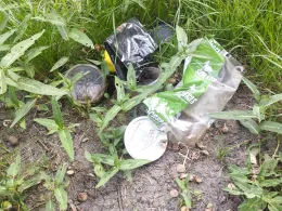 E'fehn-Kanal (Kamperfehn)