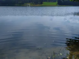 Jezioro Gowidlińskie-1