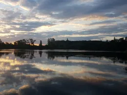 Blaue Adria (Altrip)-2