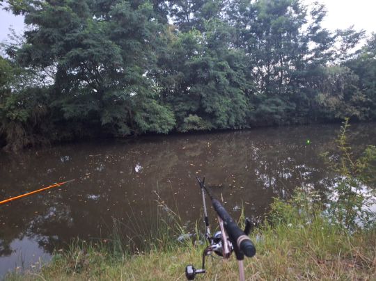 Dorfteich Irxleben-1