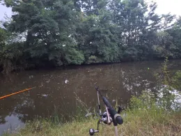 Dorfteich Irxleben-1