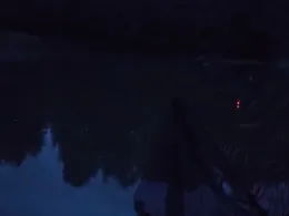 Mischteich (ASV Herrhausen )-1