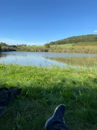 Schwabsweiher (Breitenlohe)-2