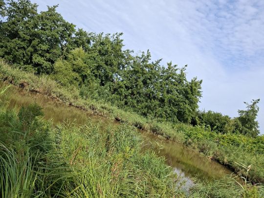 Rückhaltebecken Meierhof-1