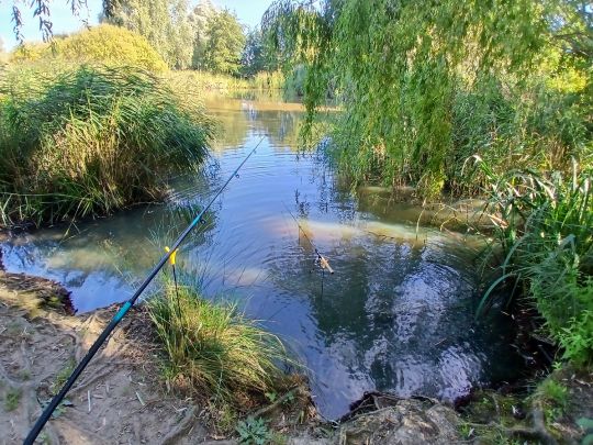 Rückhaltebecken Meierhof-2