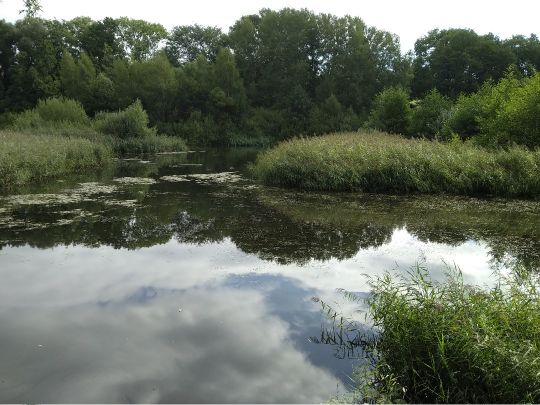 Kuhteich (Borna)