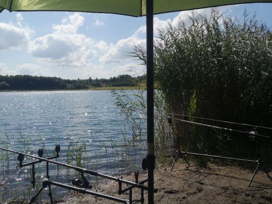 Wellener Bach