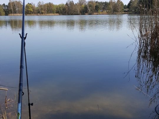 Geschlossener Teich (Finowfurt) ALLE ANGELN