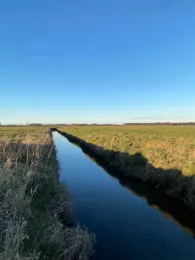 Hanerau (Hanerau-Hademarschen)