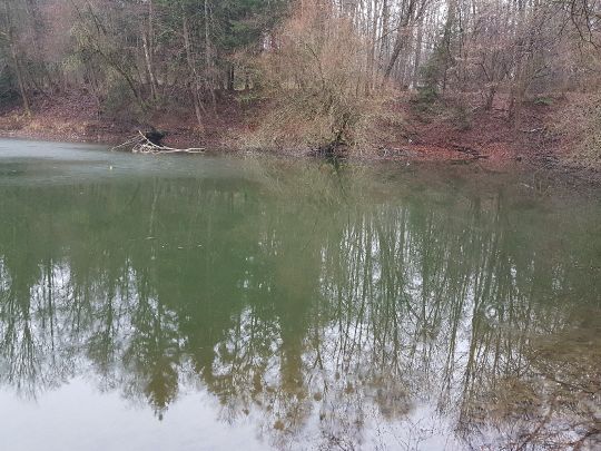 Ziegelweiher Lochhausen-0