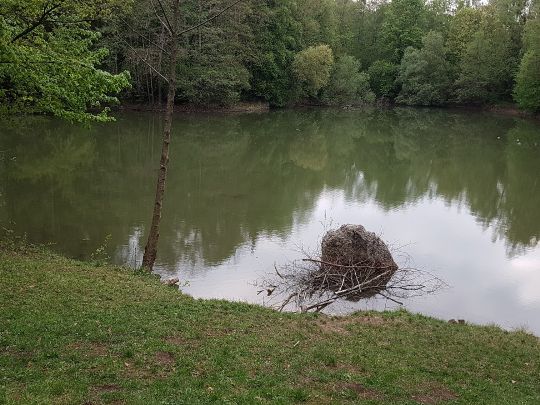 Ziegelweiher Lochhausen-1