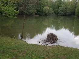 Ziegelweiher Lochhausen-1