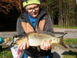 Holzweiher (Neukirch)