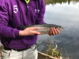 Holzweiher (Neukirch)-1