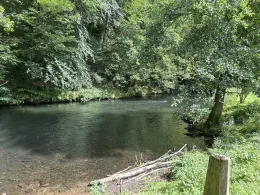 Wupper (Radevormwald)