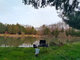 Angelteich Rohr (Burgauberg)