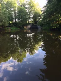 Rauhe Ebrach (Frensdorf)-0