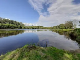 Krumstedt (Sandberg)